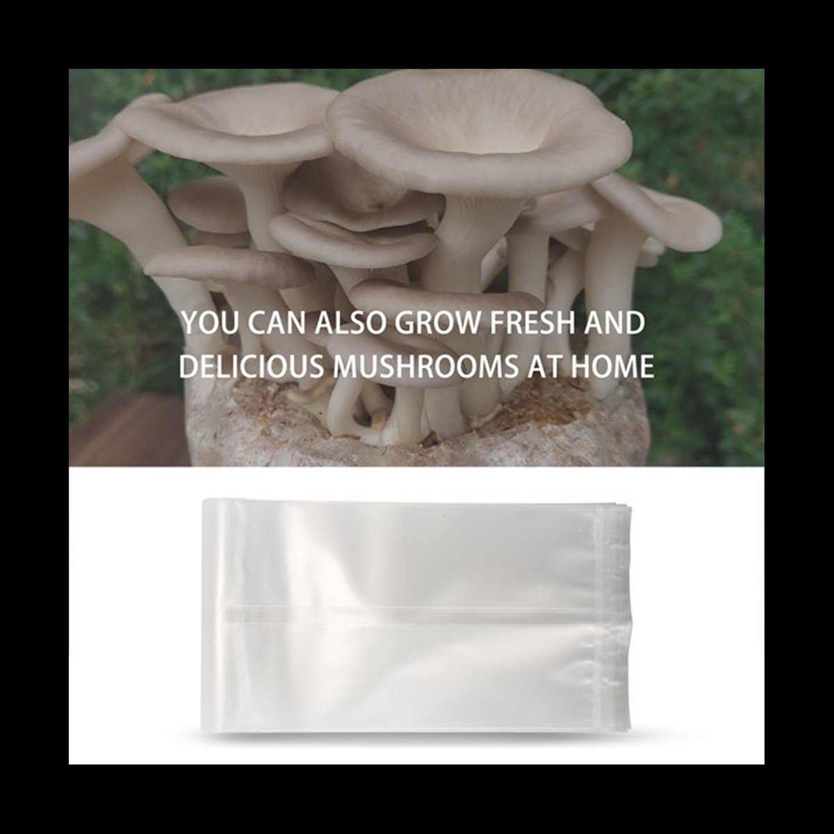Mushroom Spawn Bag - A78I 50 Count Mushroom Bags/Mushroom Growing