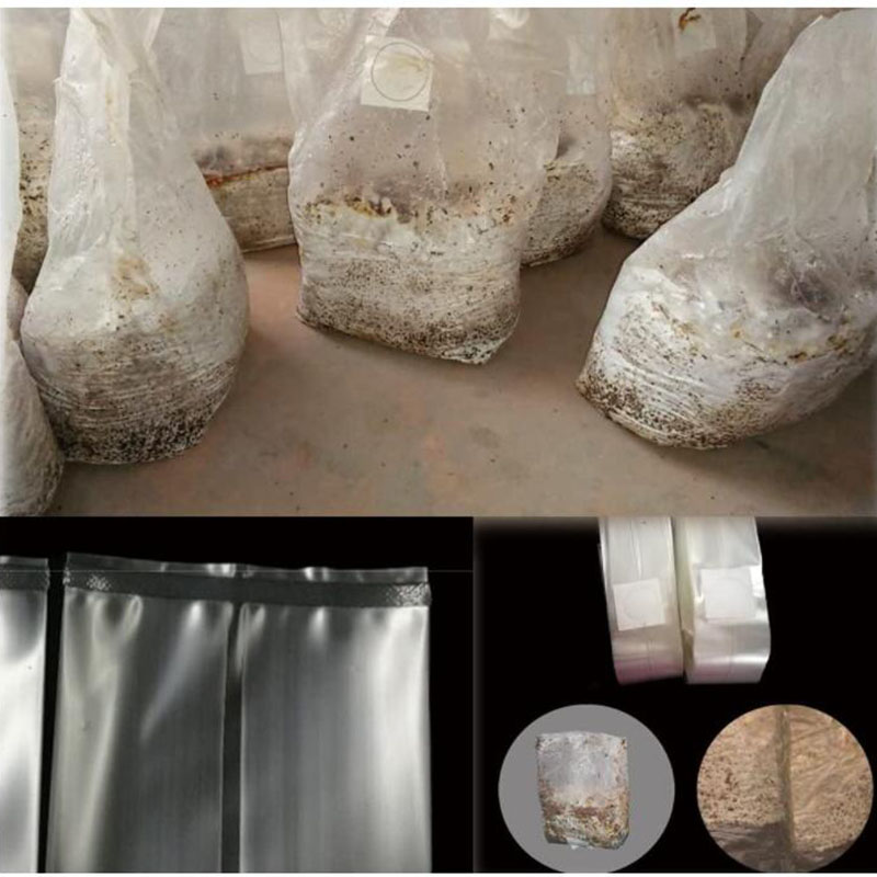 10x 18x35cm 50cm mushroom Spaw - огляд і ціна Mushroom Spawn Bag