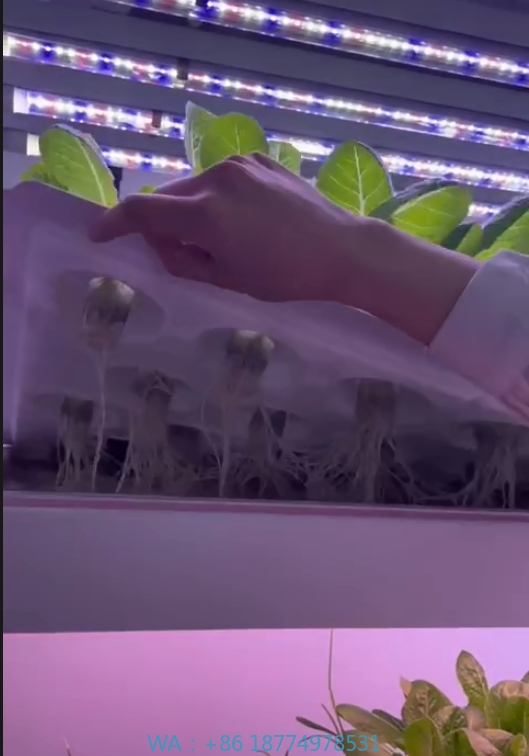 f Greenhouse Agricultural Equi - огляд і ціна Agriculture Farming Vegetables