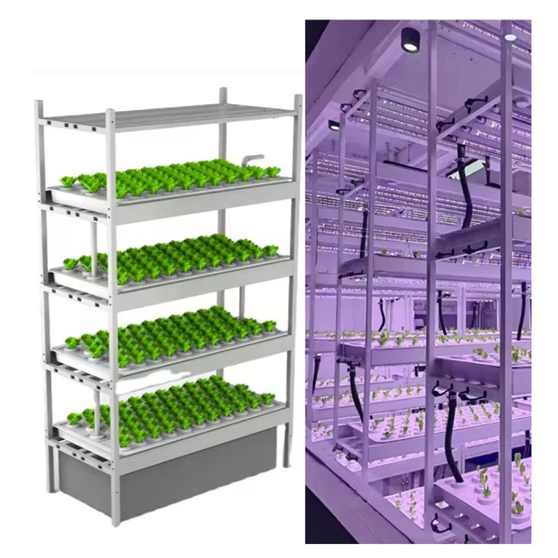 f Greenhouse Agricultural Equi - огляд і ціна Agriculture Farming Vegetables