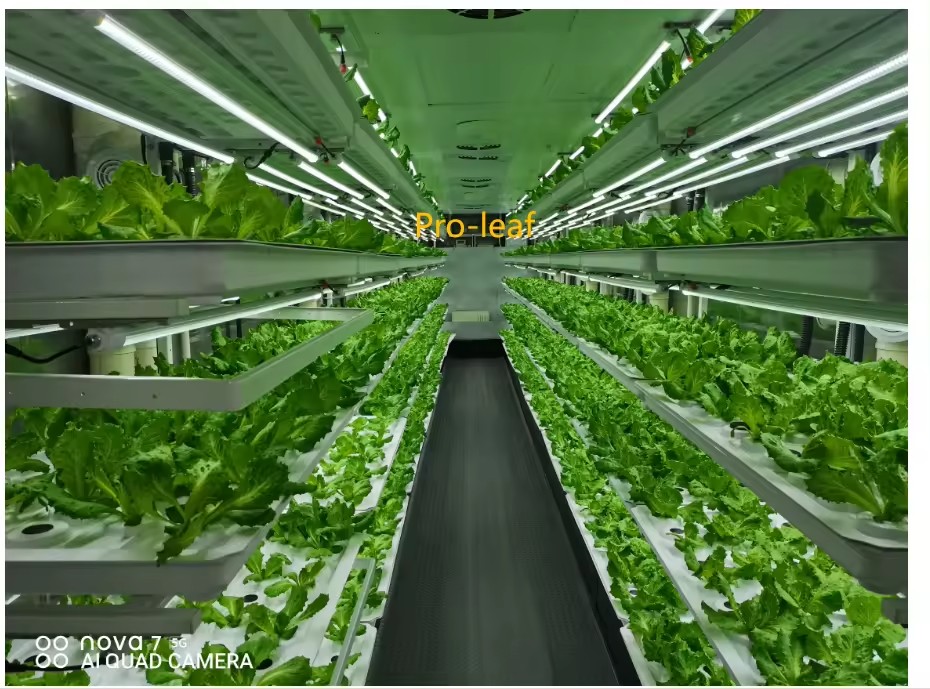 f Greenhouse Agricultural Equi - огляд і ціна Agriculture Farming Vegetables