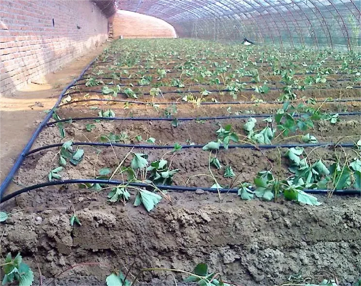 1HA Irrigation Kit Agricultura - огляд і ціна Agriculture Farming Systems