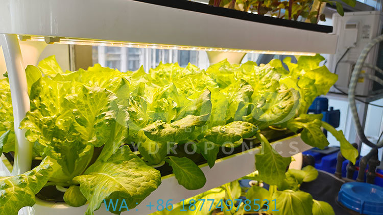 c Agriculture Machine to Growi - огляд і ціна Agriculture Farming Systems