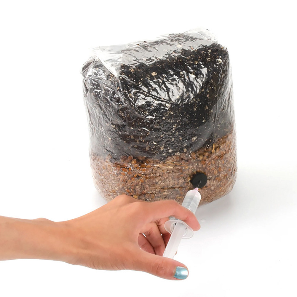 20Pcs Mushroom Growing Bags Cl - огляд і ціна Mushroom Spawn Bag